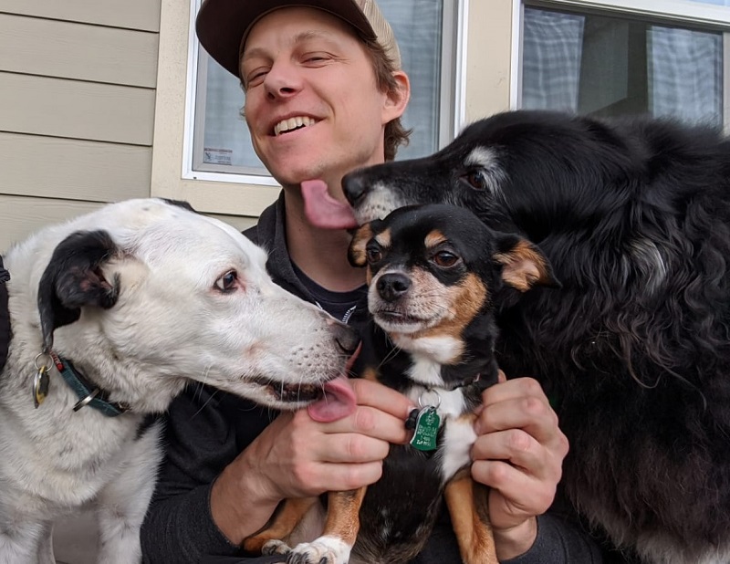 dogs